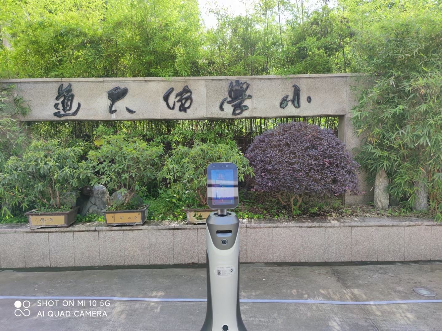 IMG_2110(20210601-174711).JPG IMG_2110(20210601-174711).JPG